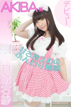 恶少爷的冷漠女佣